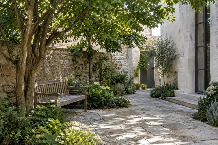 A timber bench beneath a leafy tree beside stone paving in a courtyard garden.