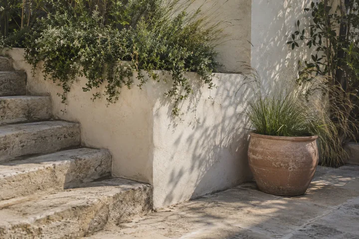 Stone steps, a plaster wall and a terracotta pot beside garden planting.